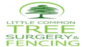 Little Common Tree Surgery